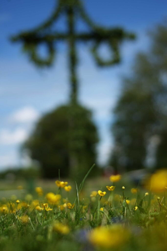 Traditionell midsommarfirande med Widbo Hembygdsförening.